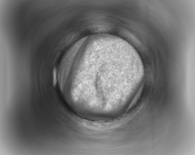 X0000093510022200711021036