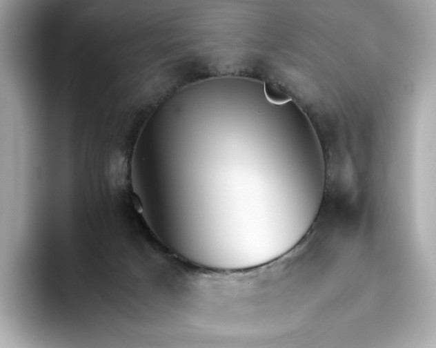 X0000093510025200711021036