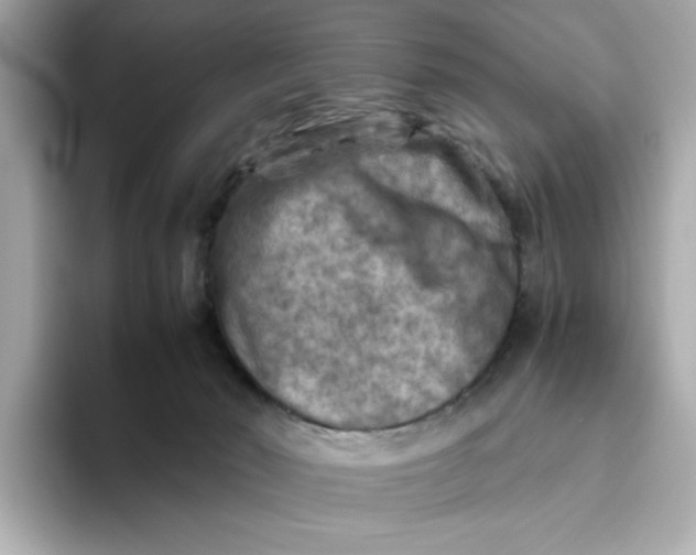 X0000093510030200711021036