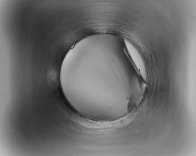 X0000093510031200711021036