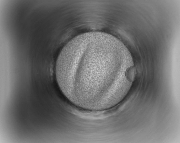 X0000093510032200711021036