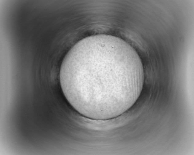 X0000093510034200711021036