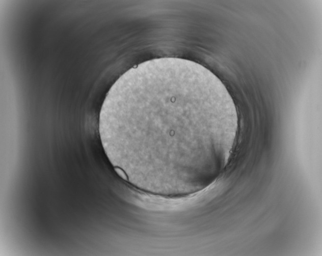 X0000093510048200711021036