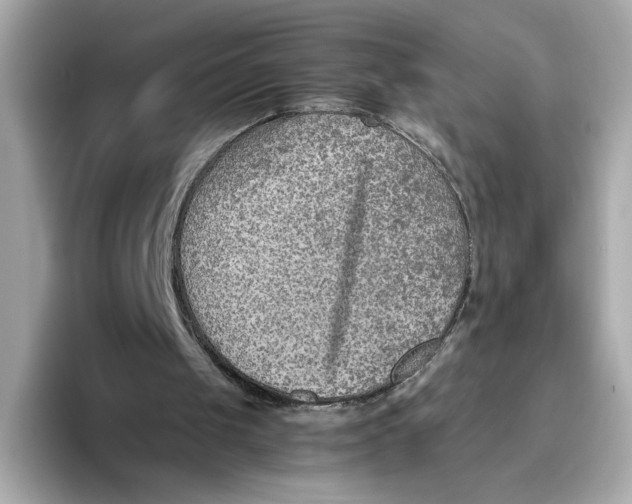 X0000093510049200711021035