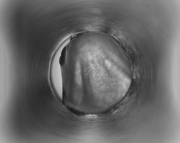 X0000093510052200711021035