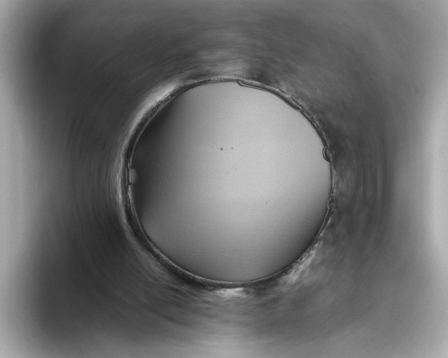 X0000093510054200711021035