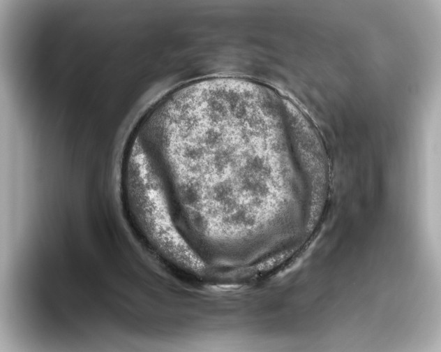 X0000093510055200711021035