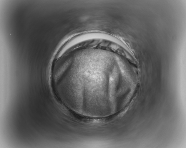 X0000093510056200711021035