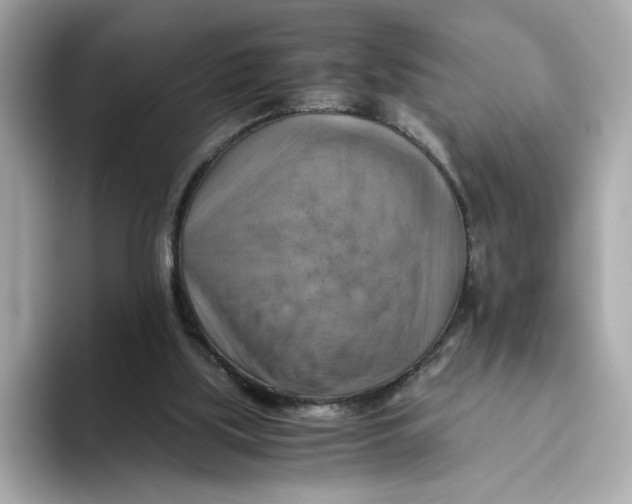 X0000093510059200711021035