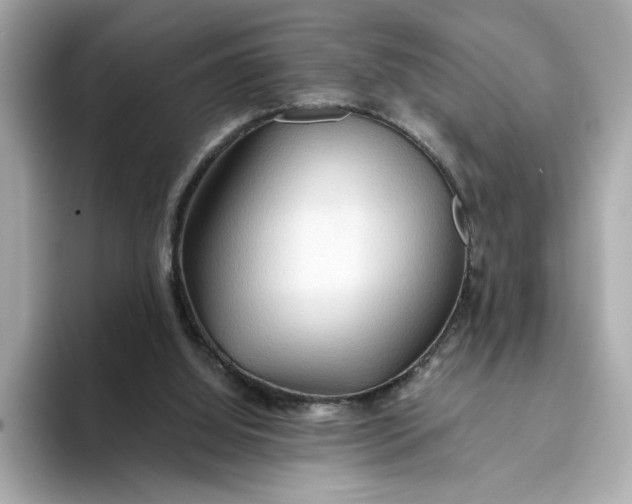 X0000093510060200711021035