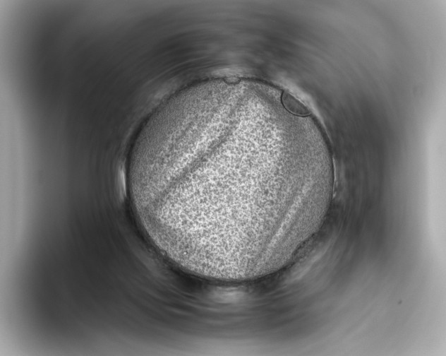 X0000093510061200711021035