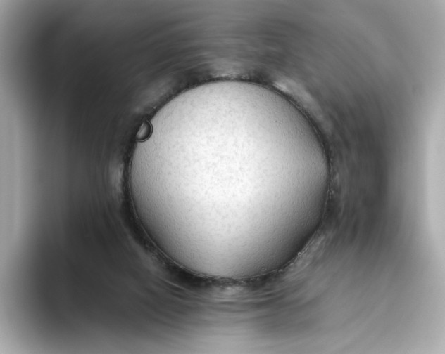 X0000093510066200711021035