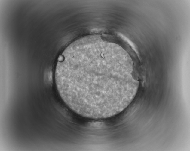 X0000093510067200711021035