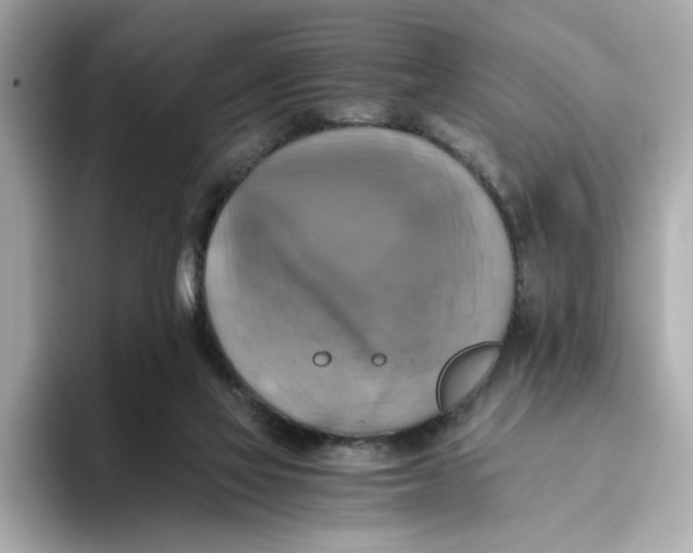 X0000093510069200711021035