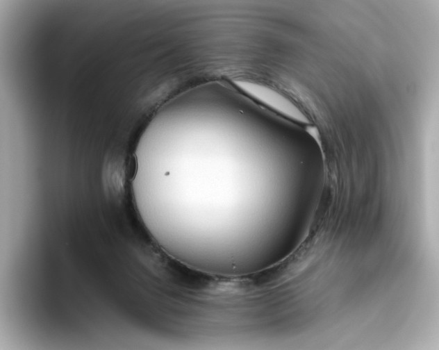 X0000093510072200711021035