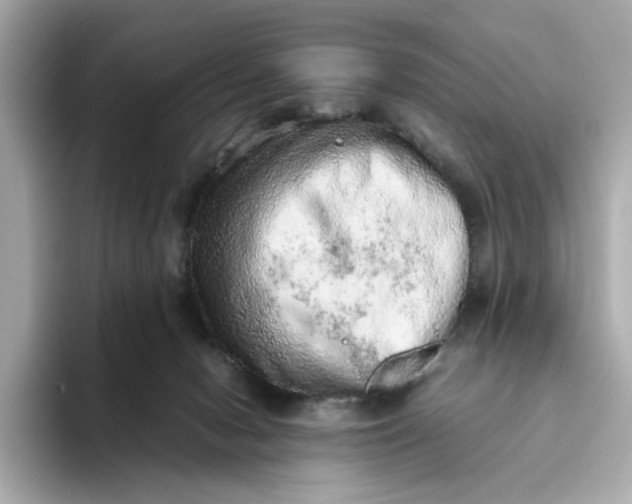 X0000093510078200711021035