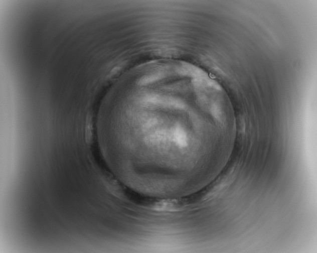 X0000093510080200711021035