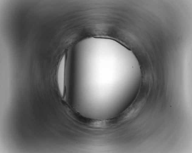 X0000093510084200711021035