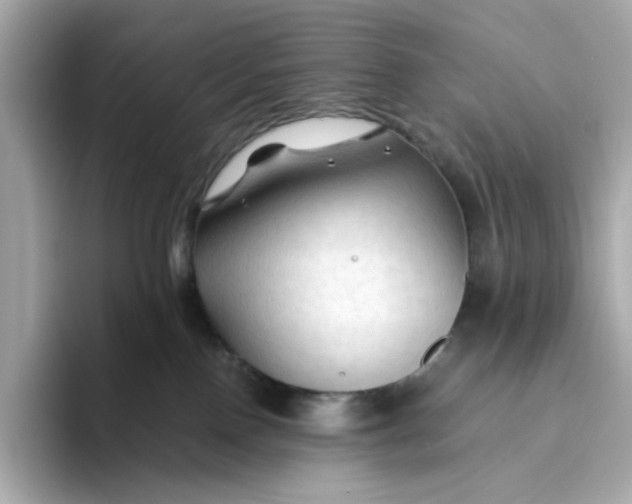 X0000093510090200711021035