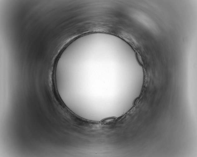 X0000093510098200711021035