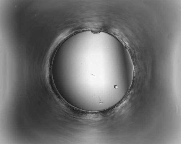 X0000093510101200711021035