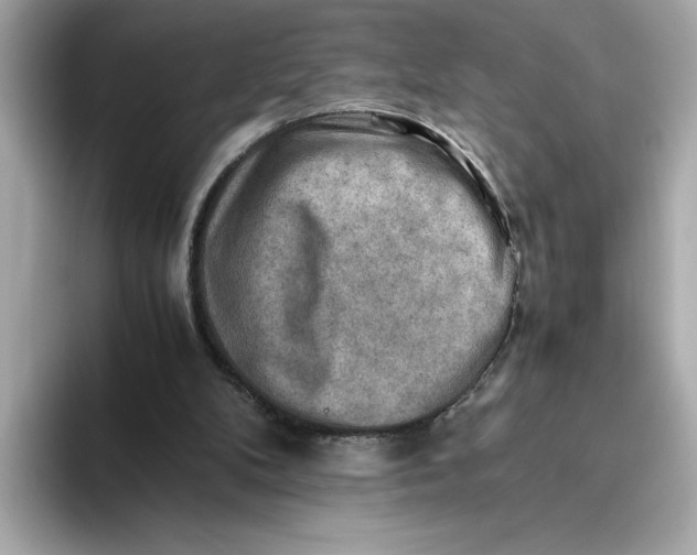 X0000093510104200711021035