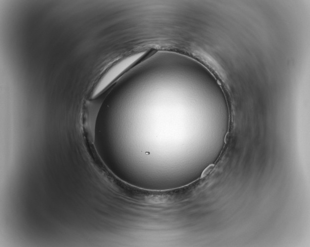 X0000093510105200711021035