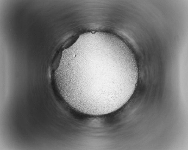 X0000093510115200711021035