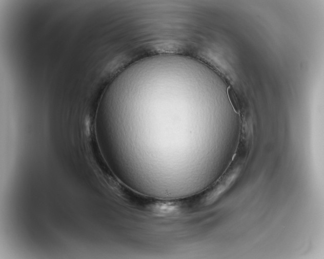 X0000093510117200711021035