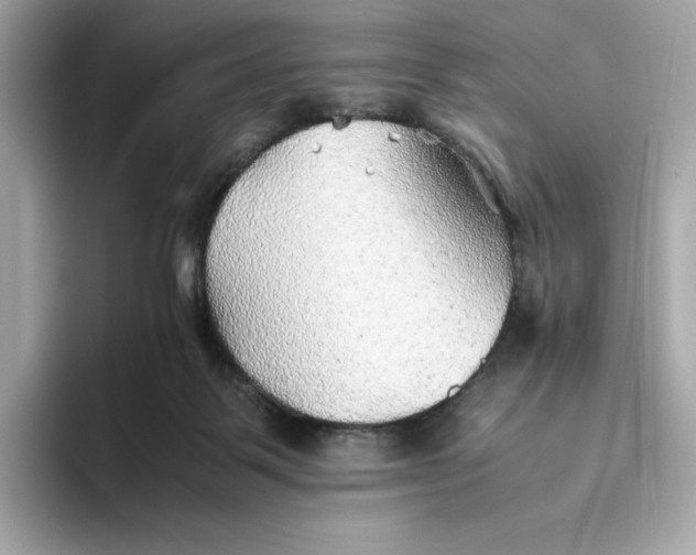 X0000093510123200711021035