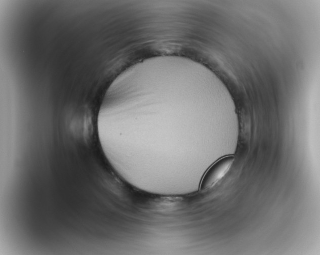 X0000093510128200711021035