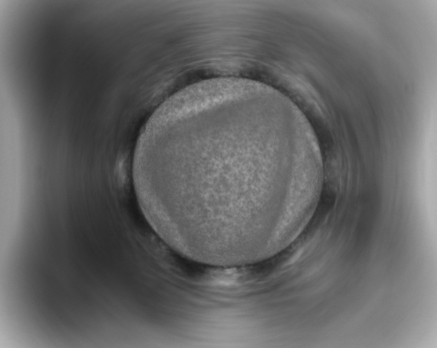 X0000093510131200711021035