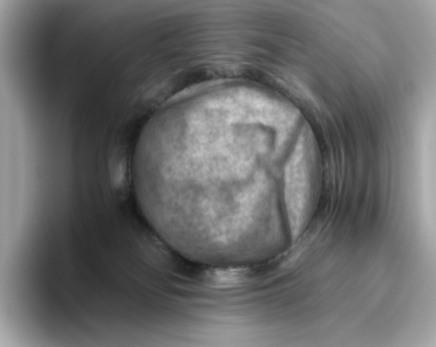 X0000093510134200711021035