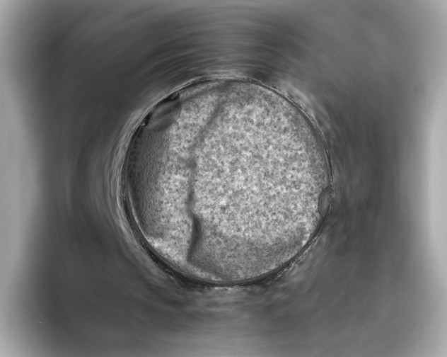 X0000093510145200711021034