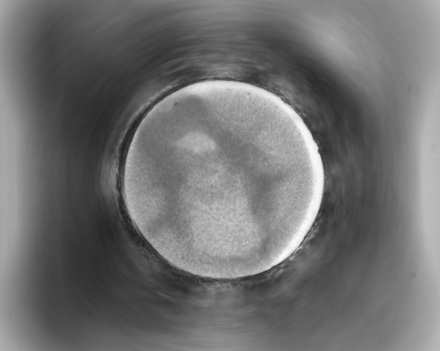 X0000093510146200711021034