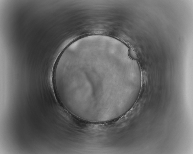 X0000093510147200711021034