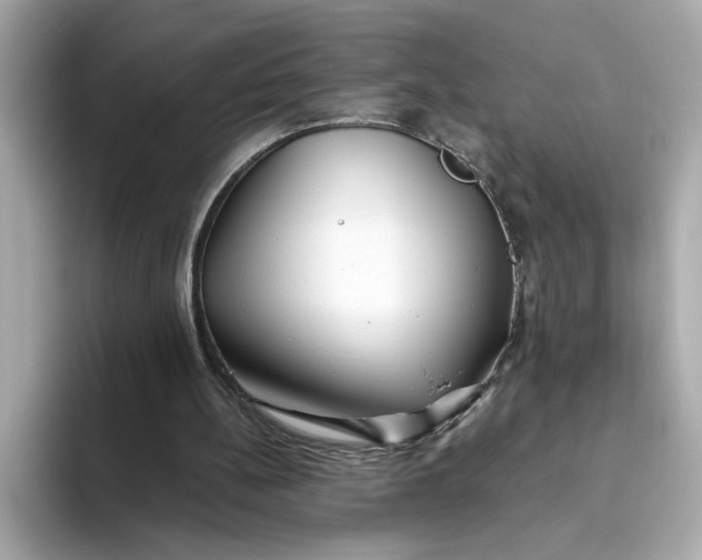 X0000093510148200711021034