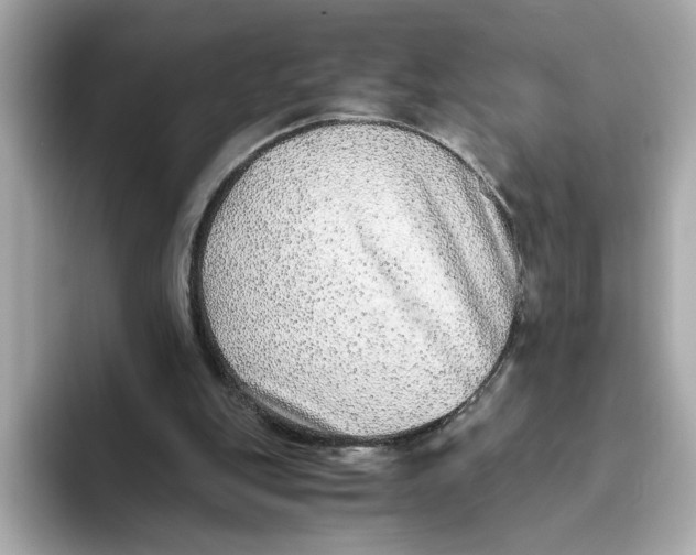 X0000093510151200711021034