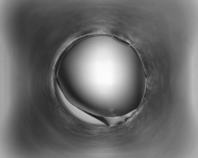 X0000093510152200711021034