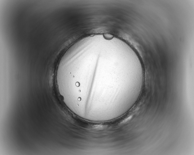 X0000093510153200711021034