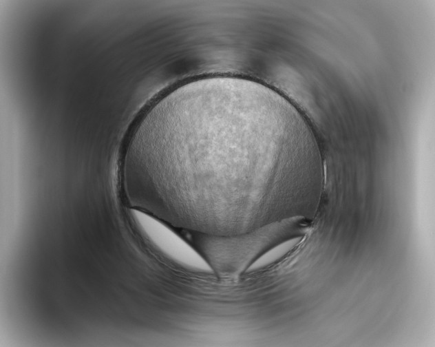 X0000093510156200711021034