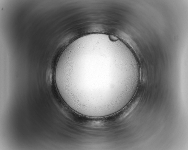 X0000093510157200711021034