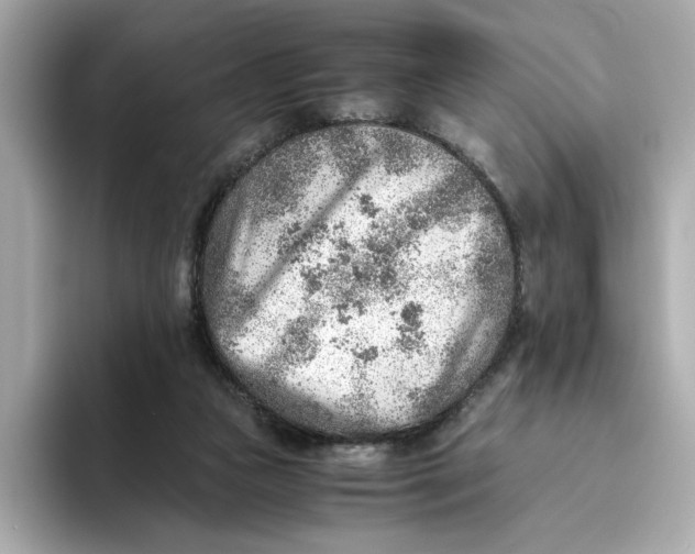 X0000093510161200711021034