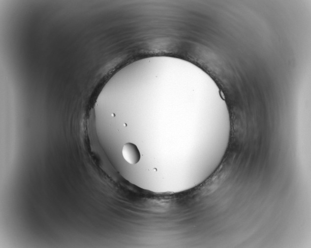 X0000093510164200711021034