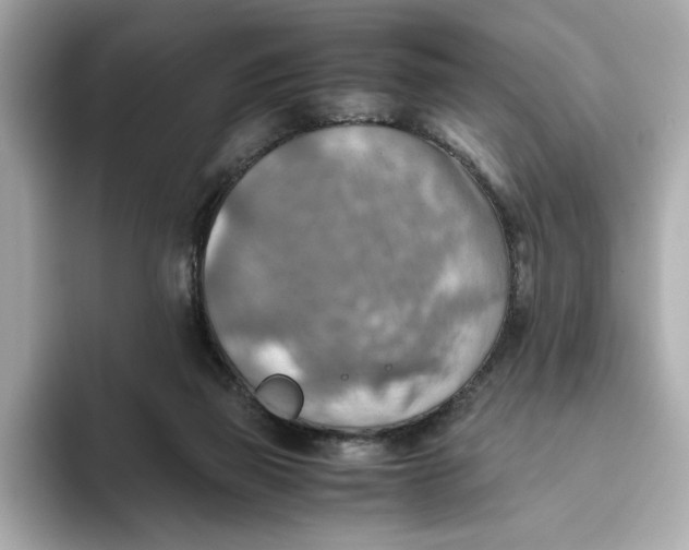 X0000093510165200711021034