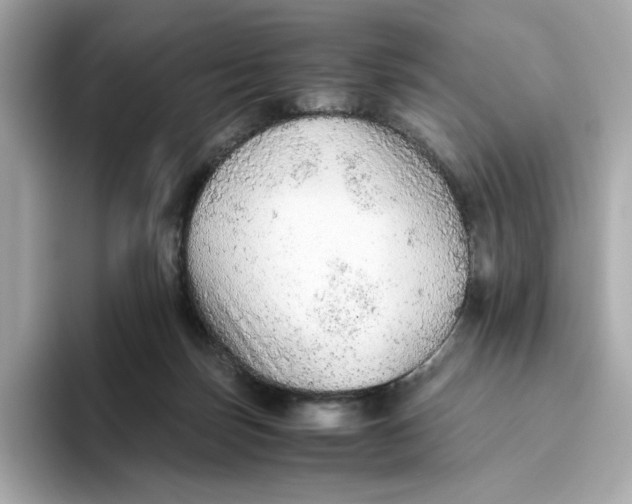 X0000093510171200711021034