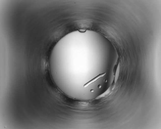 X0000093510176200711021034