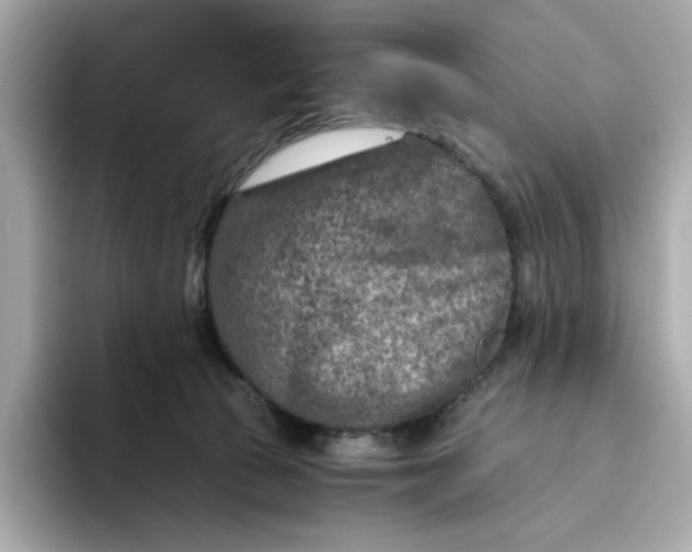 X0000093510177200711021034