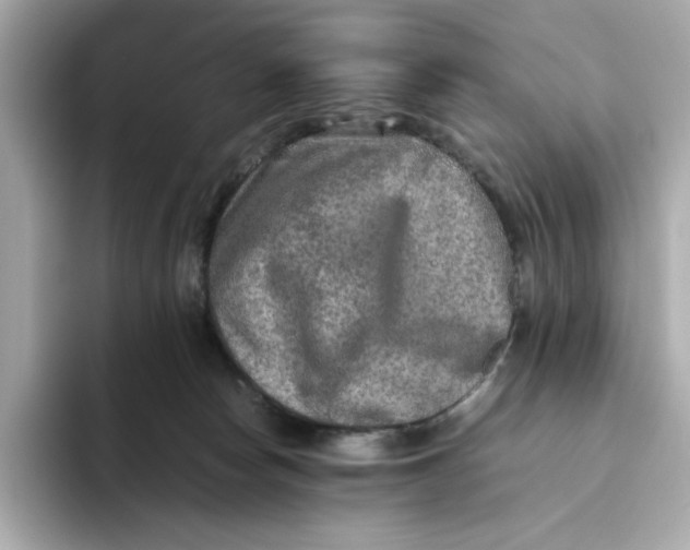 X0000093510178200711021034