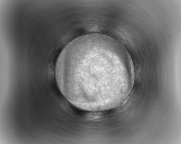 X0000093510179200711021034